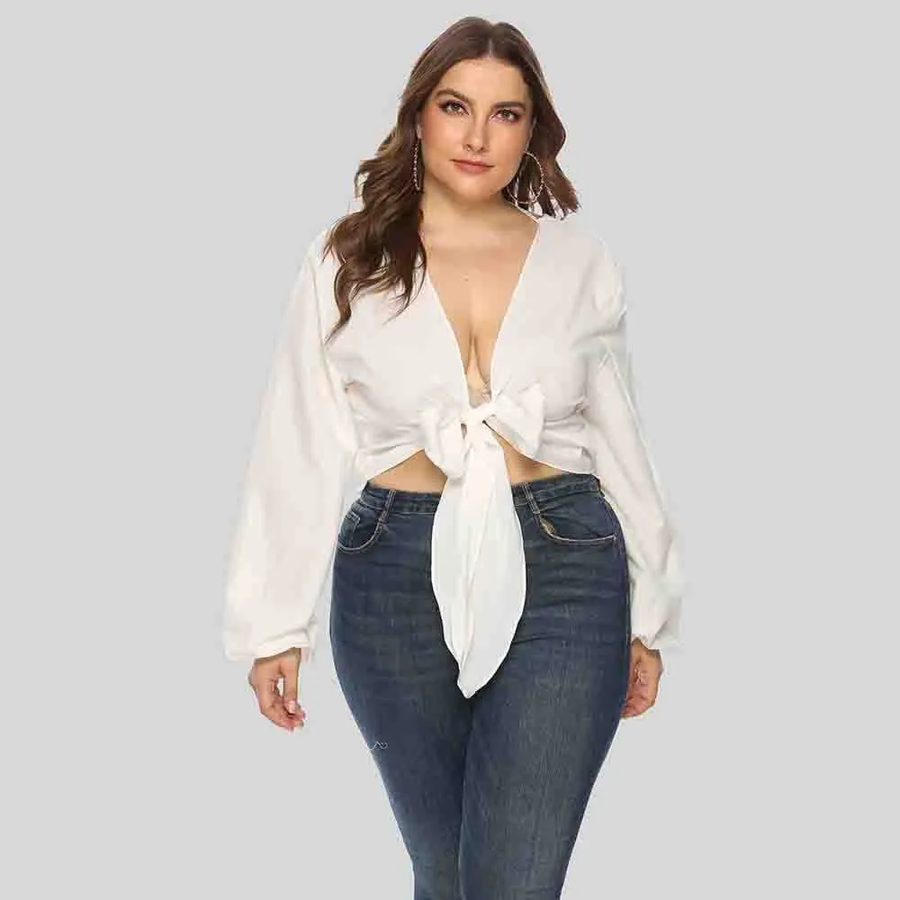 Plunge Neck Tie Front Blouse